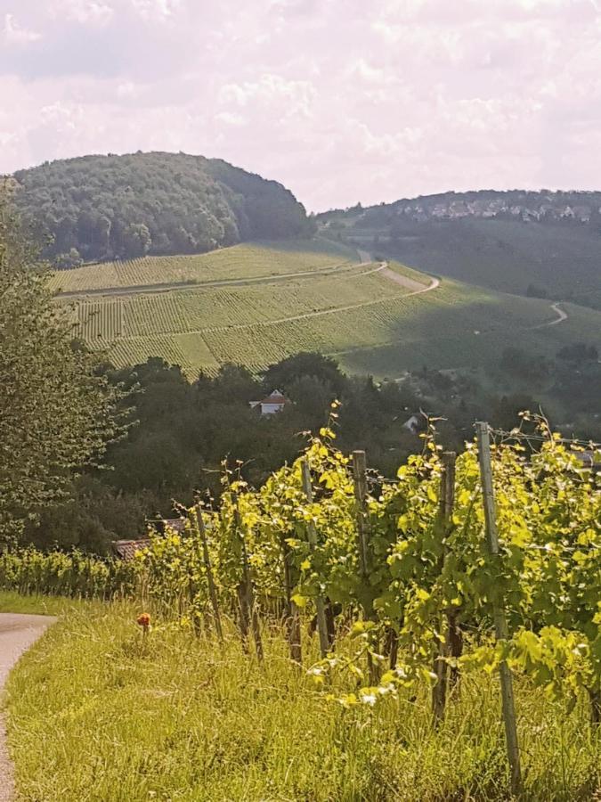 Szafranzimmervermmitung Apartamento Winnenden Exterior foto